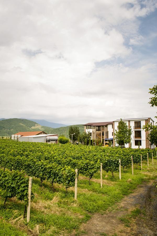 Shaloshvili'S Cellar Hotel Shilda Eksteriør bilde